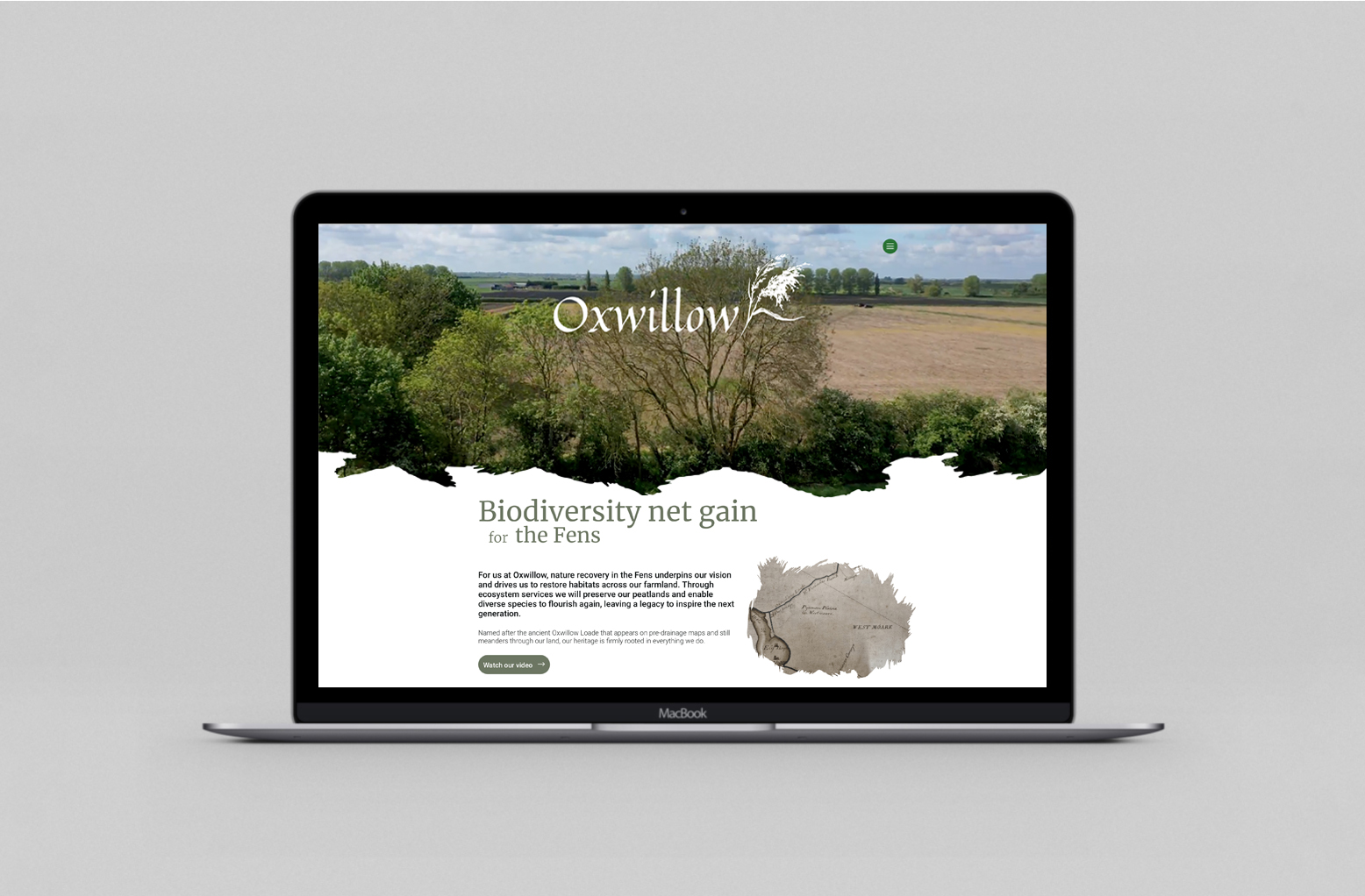 Oxwillow